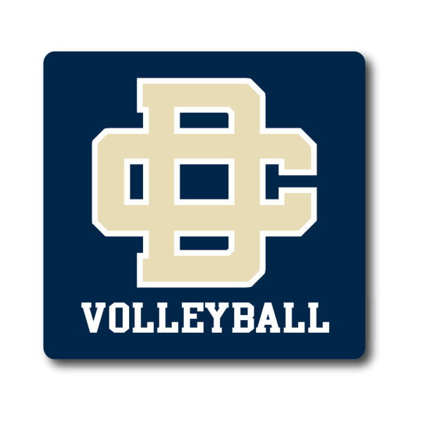 DCDS Volleyball Sticker Thumbnail